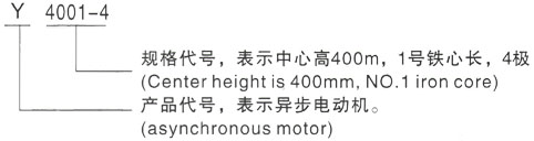 西安泰富西玛Y系列(H355-1000)高压竹根滩镇三相异步电机型号说明